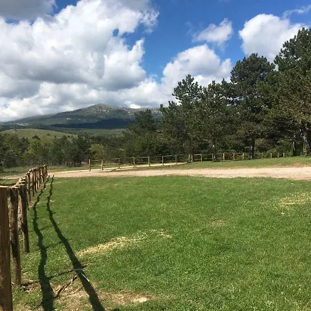 4 Seasons House Roč